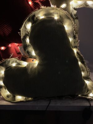 CÃ…â€œur Lumineux en tissu velours cÃƒÂ´telÃƒÂ© vert